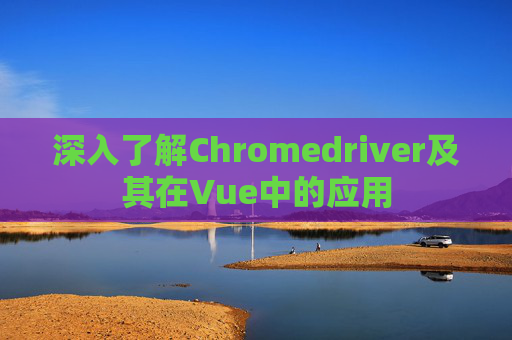 深入了解Chromedriver及其在Vue中的应用 深入了解Chromedriver及其在Vue中的应用